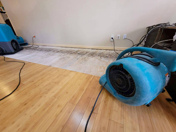 Reliable Basement Flood Cleanup contractor in Rochester, NH by Hirex Water Damage