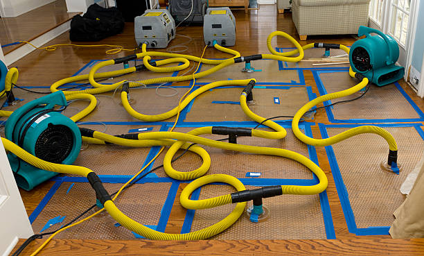 Professional Basement Flood Cleanup technician working in Rochester, NH